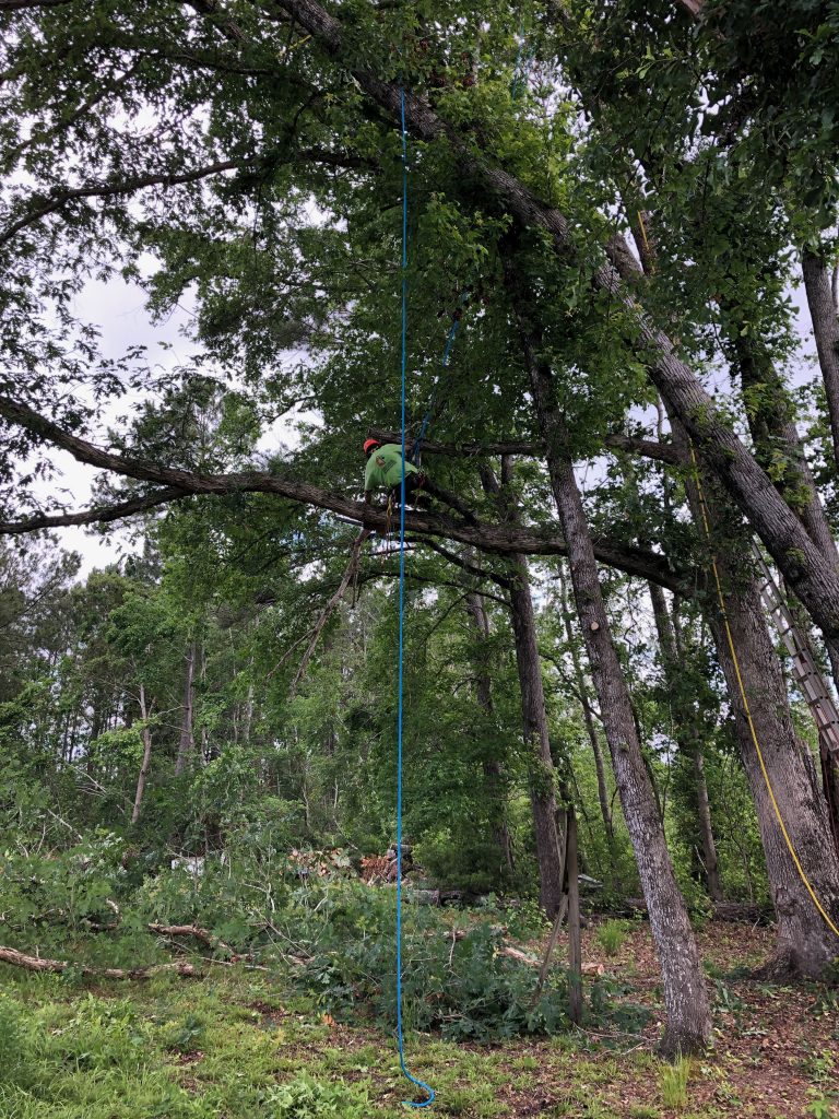 Disaster Relief Team, Climbing for Christ! Avent Ferry United Methodist Church